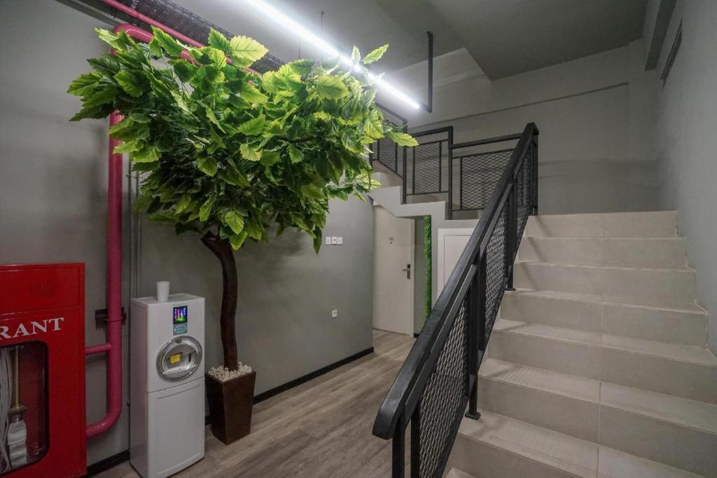 פאלמבאנג Oyo 568 Rajawali Homestay מראה חיצוני תמונה